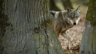 Unijna lista przebojów 2024